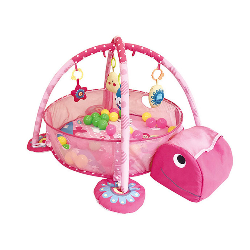 pink car baby 3 in 1 activity gym